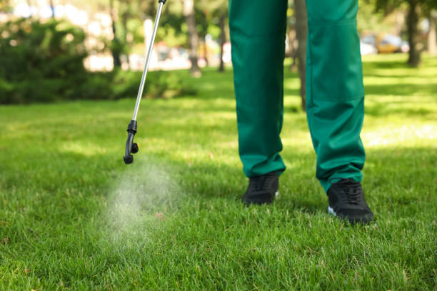 Best Insect Control  in Durham, CA