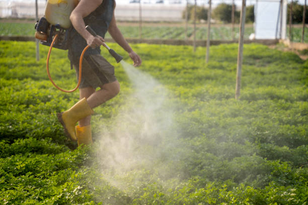 Best Emergency Pest Control  in Durham, CA