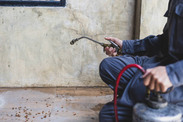 Best Exterminator Services  in Durham, CA